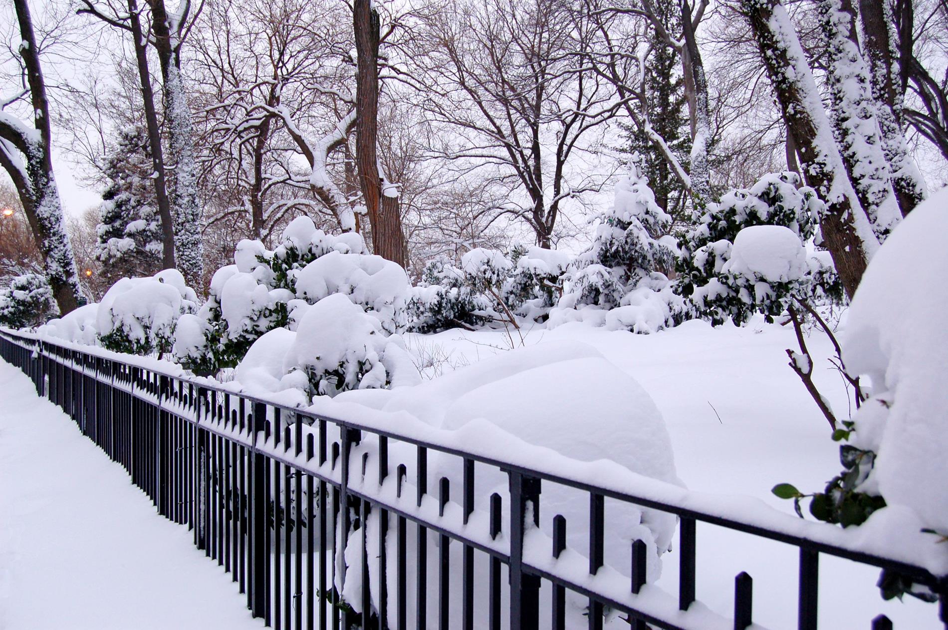 55 Park Terrace E, #B54