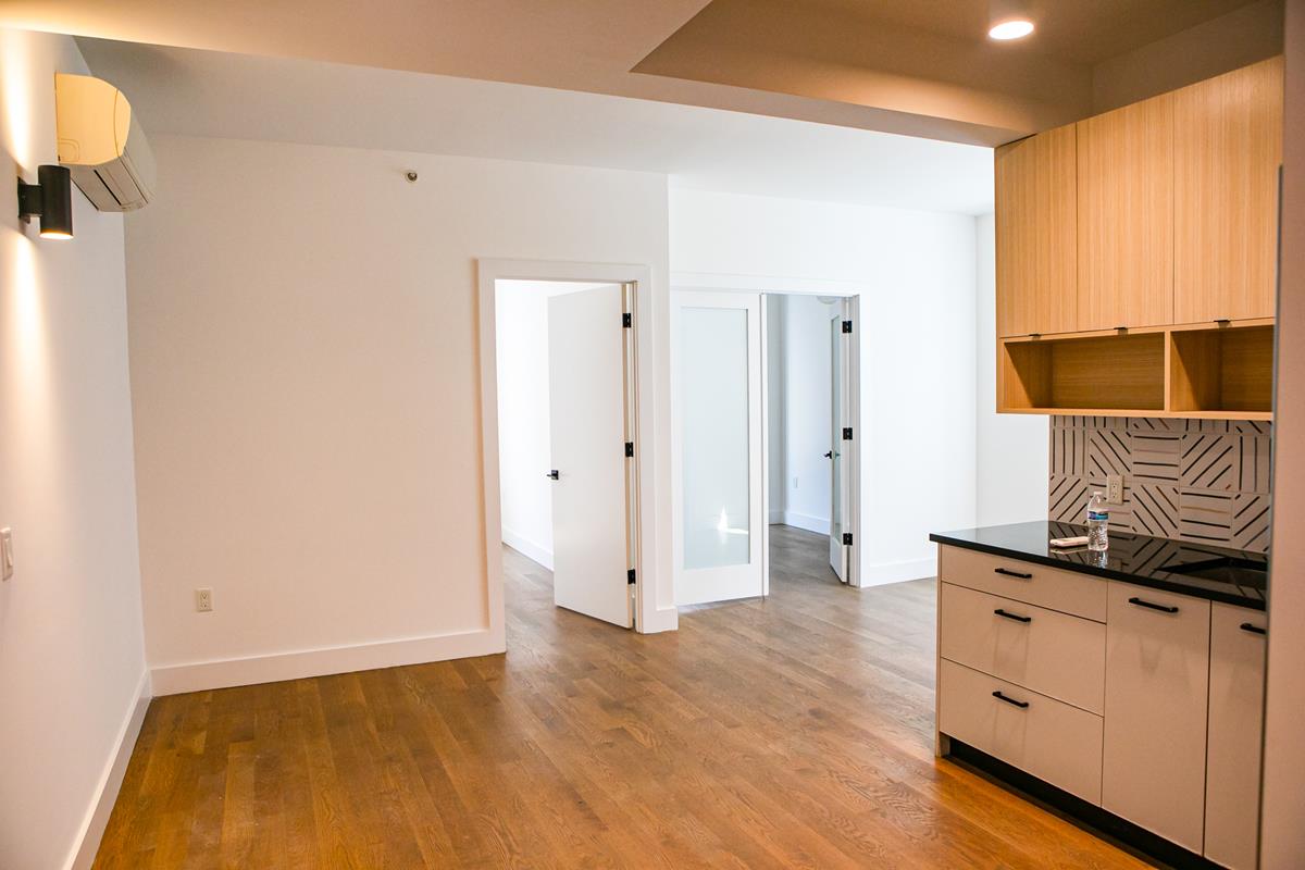 323 East 19th Street 4-D Ditmas Park Brooklyn NY 11226