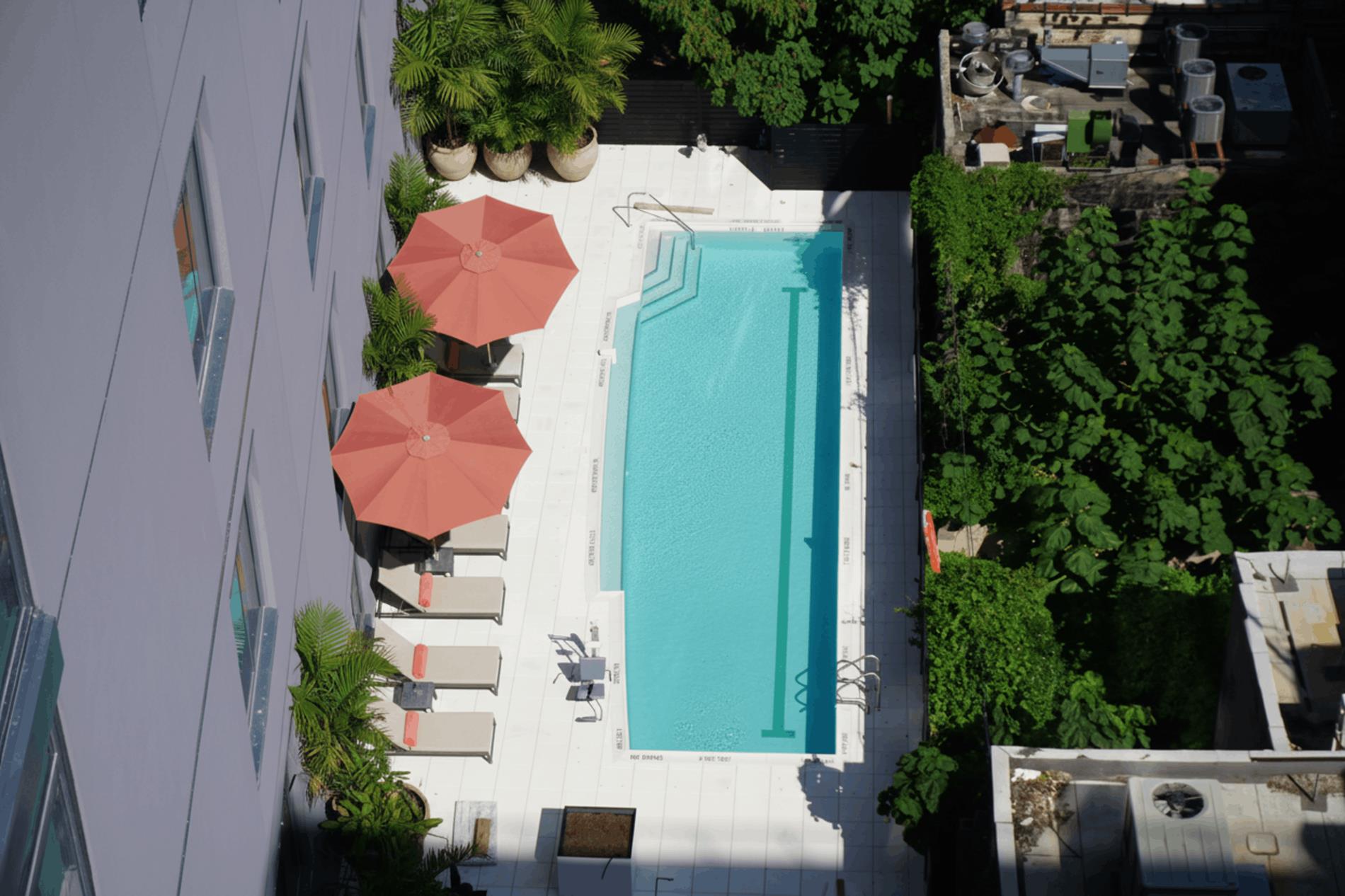 12 Halsey Street 502 Bedford Stuyvesant Brooklyn NY 11216