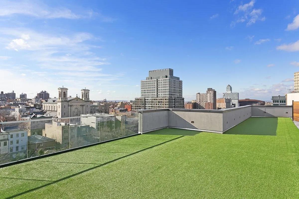 555 Waverly Avenue 1-B Clinton Hill Brooklyn NY 11238