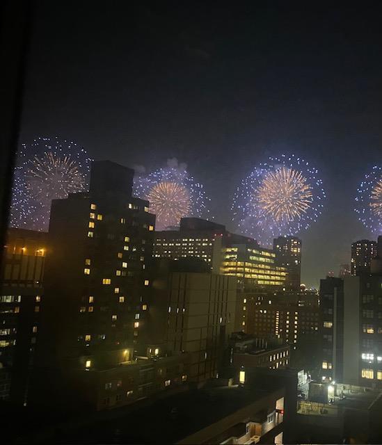 305 East 24th Street PH-J Kips Bay New York NY 10010