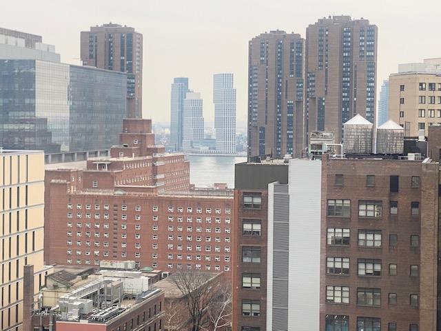 305 East 24th Street PH-J Kips Bay New York NY 10010