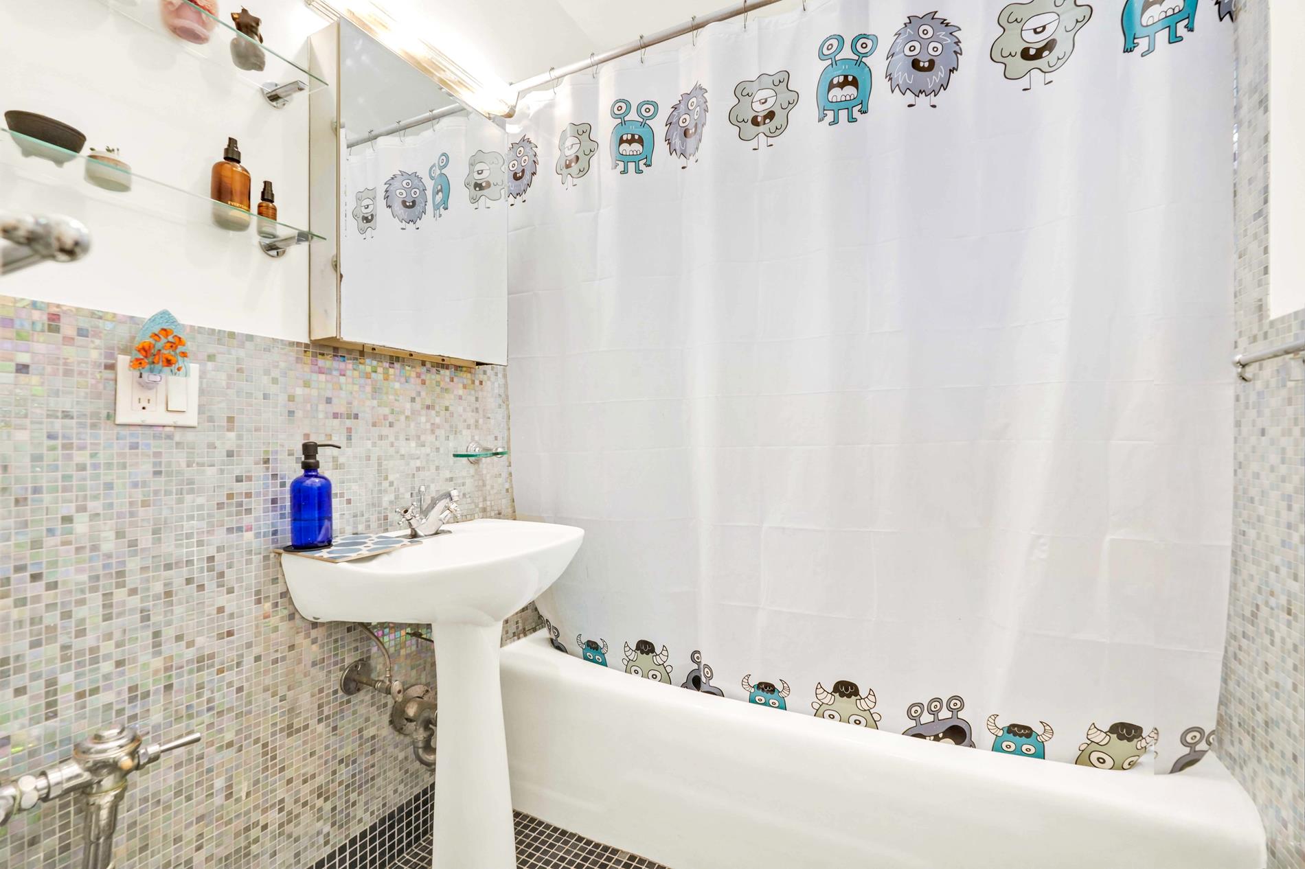 71 Ocean Parkway A-1 Windsor Terrace Brooklyn NY 11218