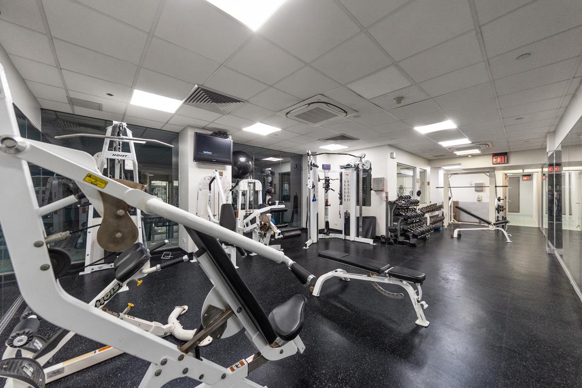 250 East 40th Street 30-F Murray Hill New York NY 10016