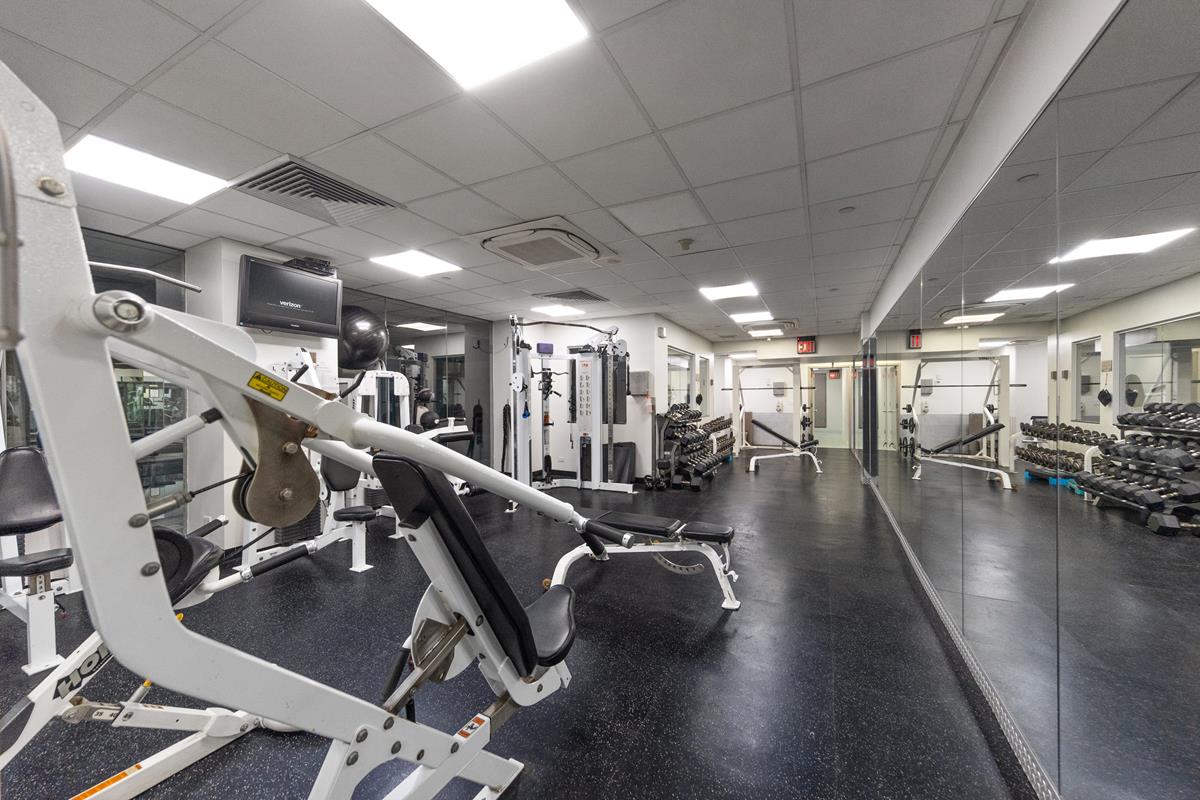 250 East 40th Street 30-F Murray Hill New York NY 10016