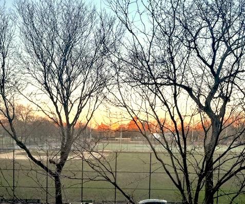 25 Parade Place 2-K Prospect Park South Brooklyn NY 11226