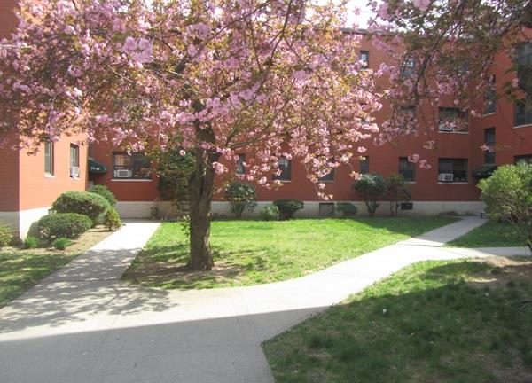 141-33 78th Avenue 2C Kew Gardens Hills Queens NY 11367