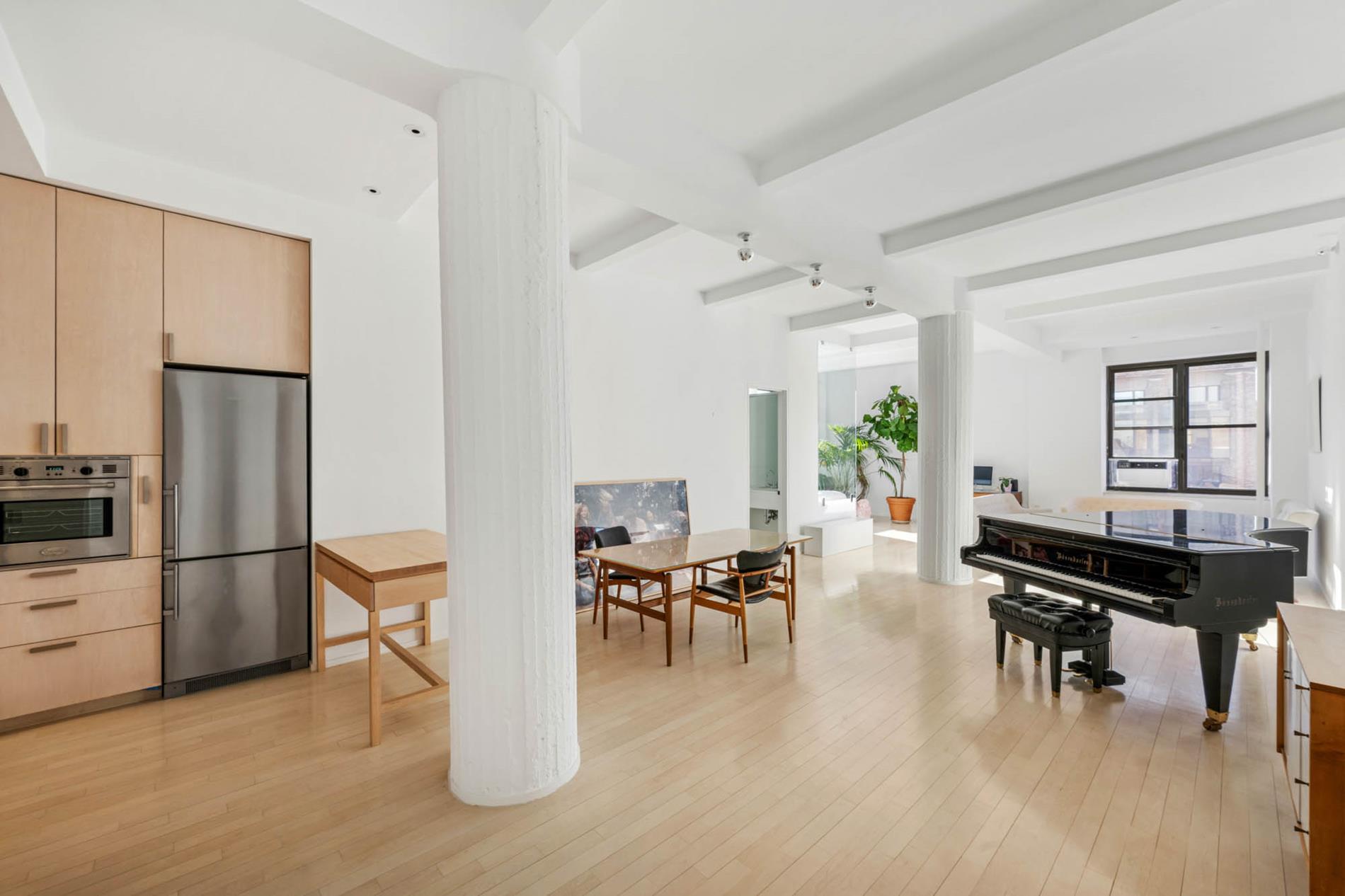 250 Mercer Street B-1002 Greenwich Village New York NY 10012