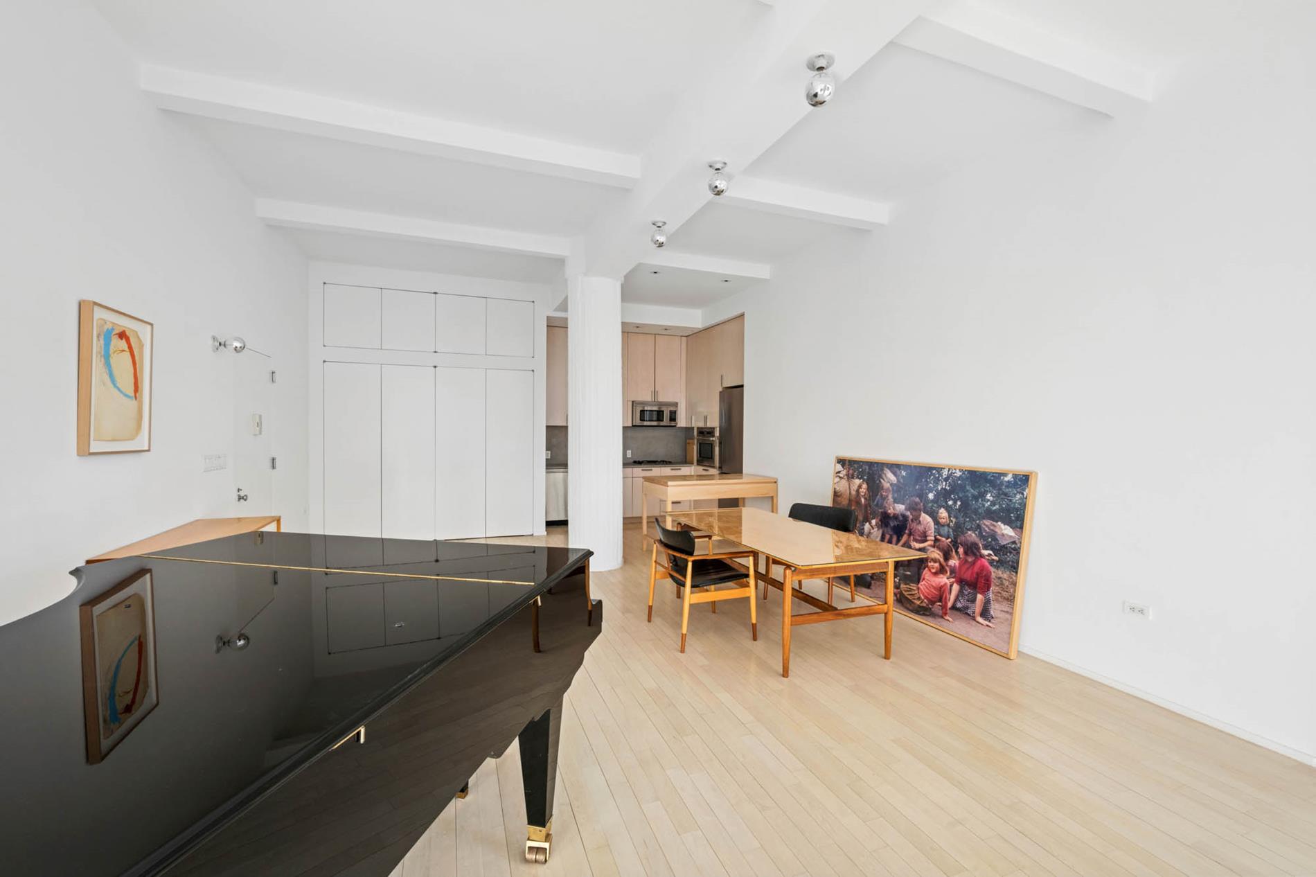 250 Mercer Street B-1002 Greenwich Village New York NY 10012