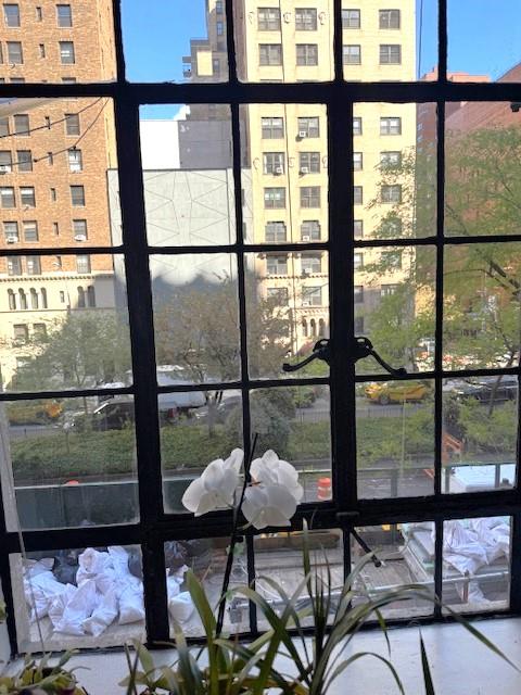 10 Park Avenue 3-F Murray Hill New York NY 10016