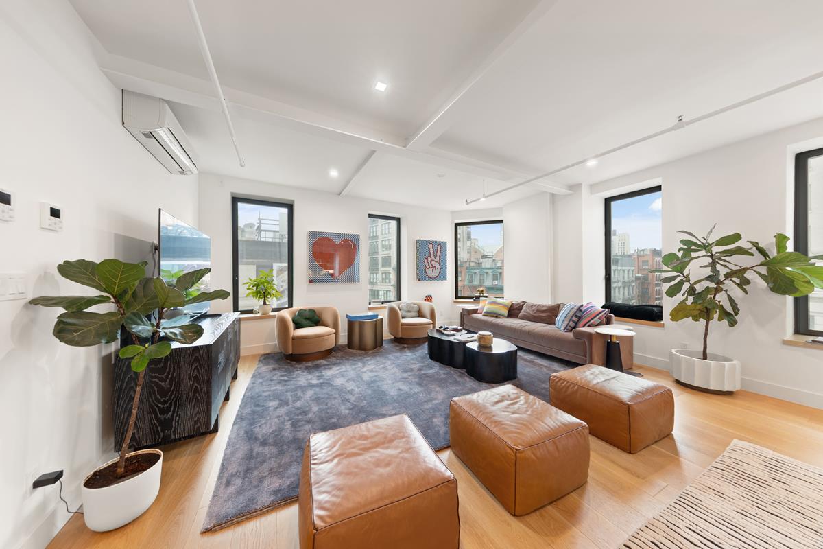 226 Lafayette Street 5-E Soho New York NY 10012