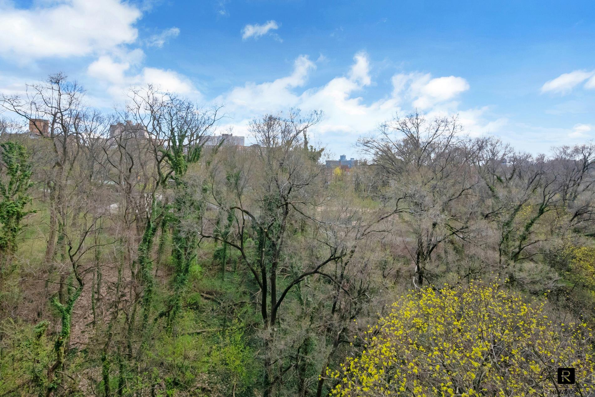 2575 Palisade Avenue Riverdale Bronx NY 10463