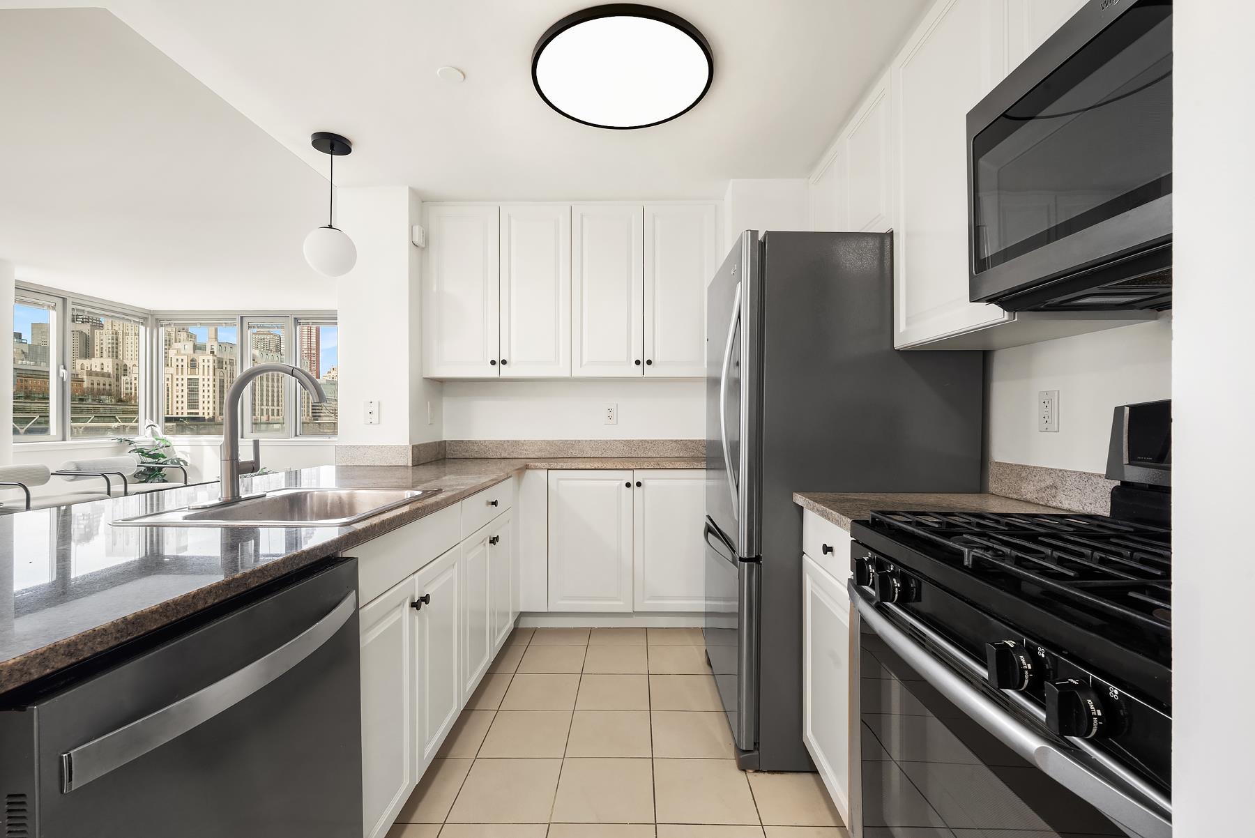 425 Main Street 4E Roosevelt Island New York NY 10044