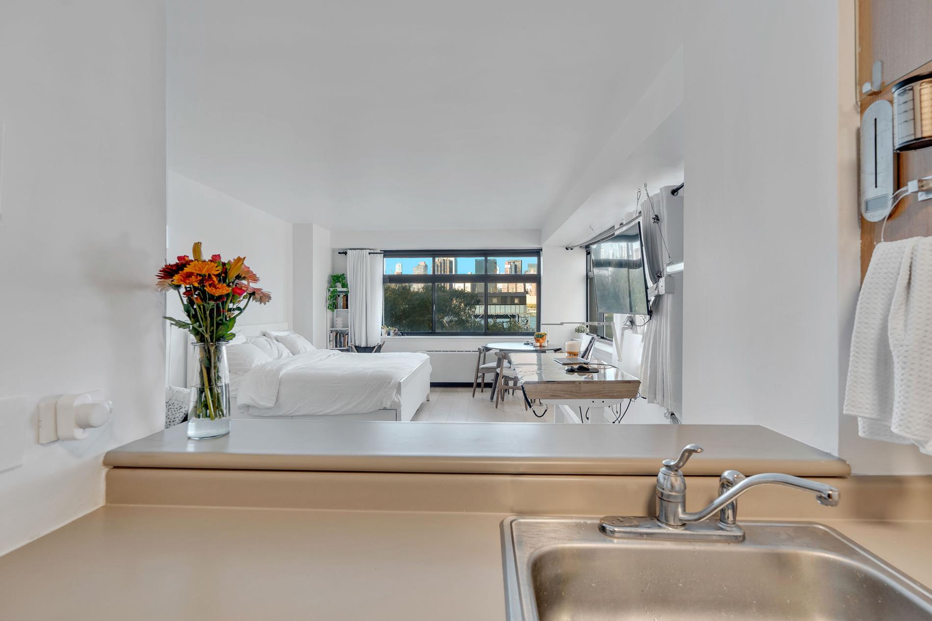 4-74 48th Avenue 4G Hunters Point Queens NY 11109