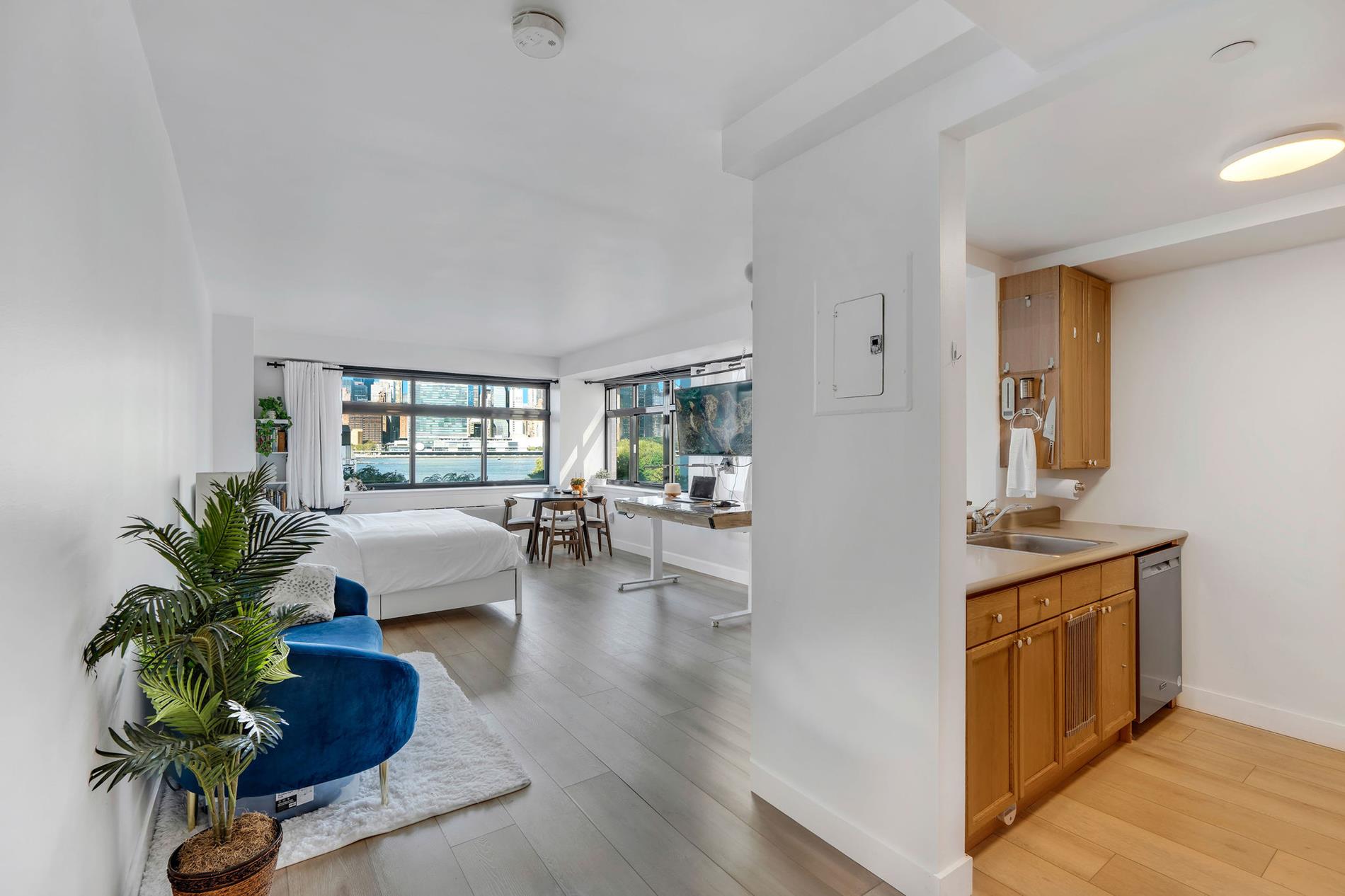 4-74 48th Avenue 4G Hunters Point Queens NY 11109