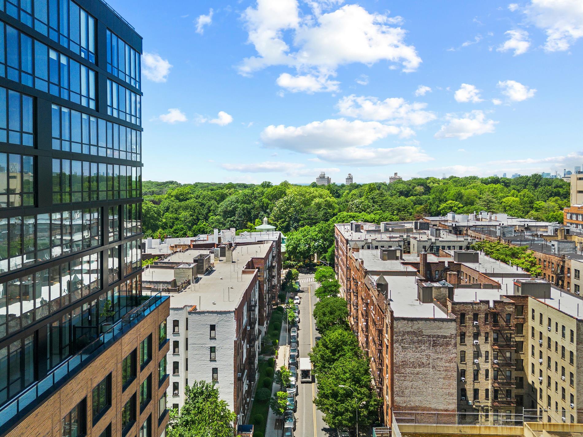 35 Crown Street 3B Crown Heights Brooklyn NY 11225