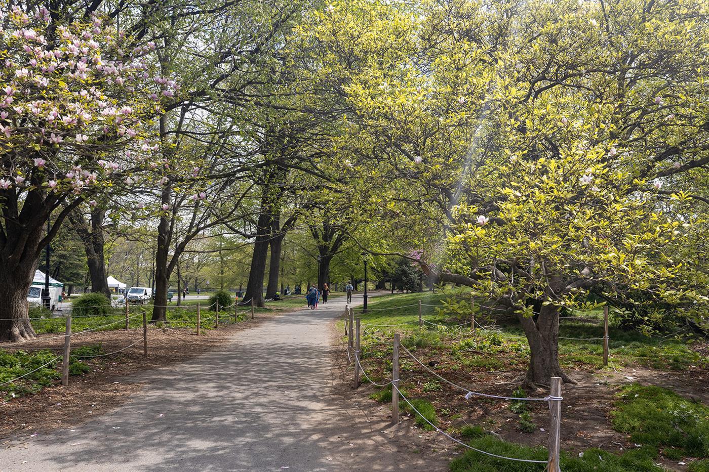 147 Prospect Park Southwest 15 Windsor Terrace Brooklyn NY 11218