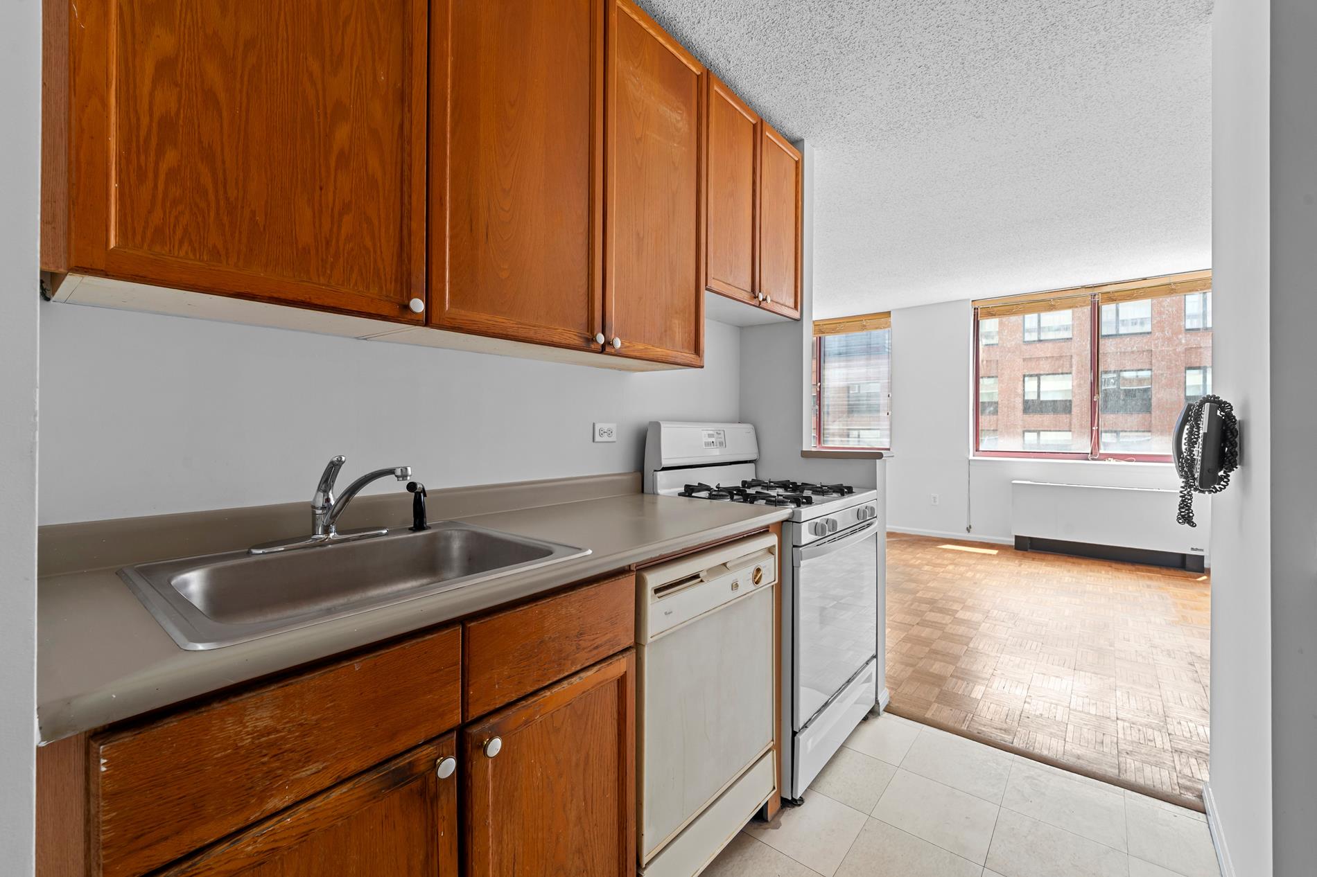 4-74 48th Avenue 9-N Long Island City Queens NY 11109