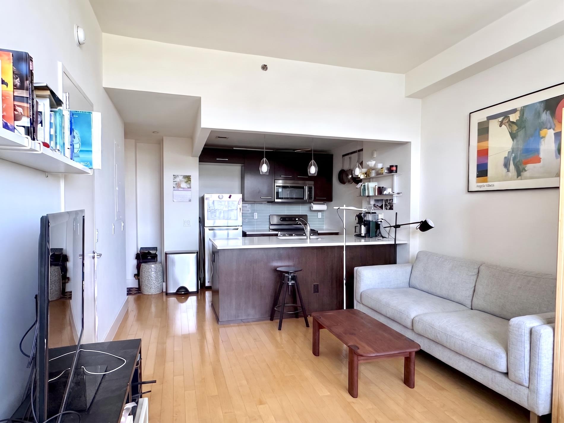 5-09 48th Avenue 6D Long Island City Queens NY 11101