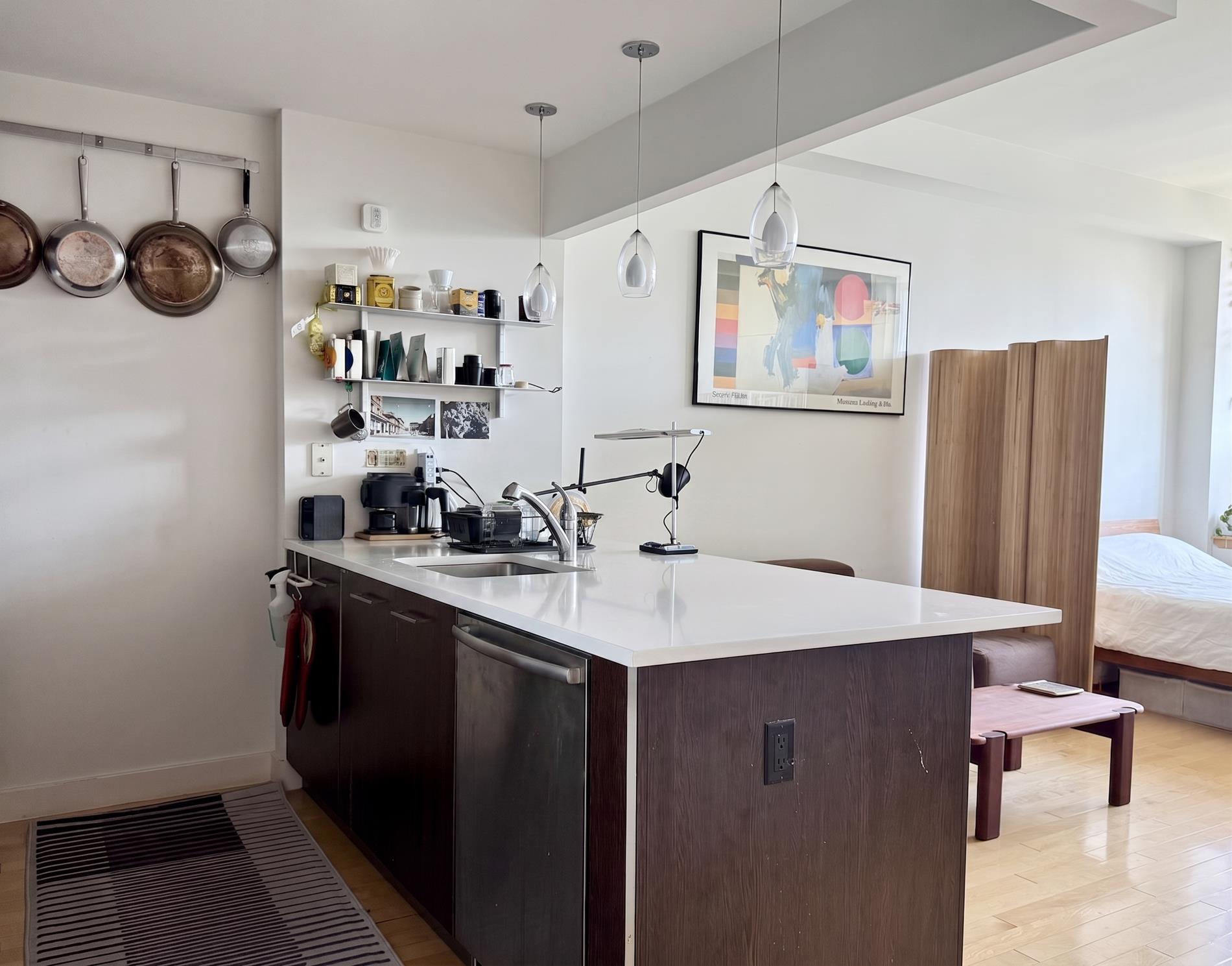 5-09 48th Avenue 6D Long Island City Queens NY 11101