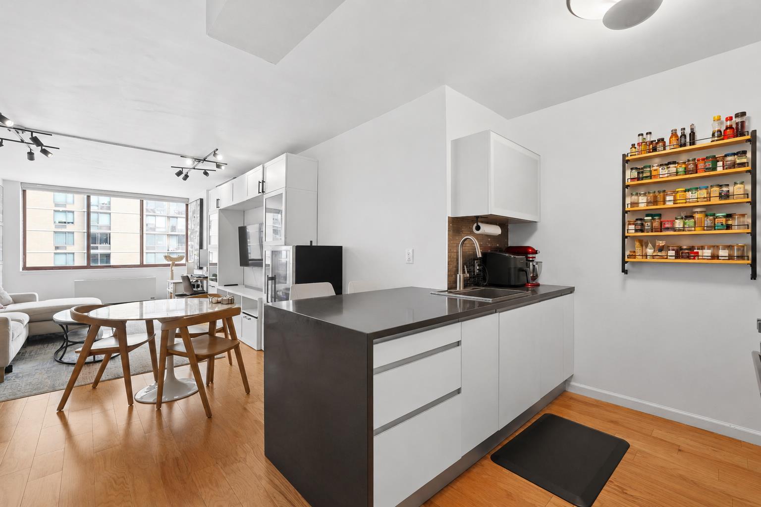 4-74 48th Avenue 28-E Hunters Point Queens NY 11109