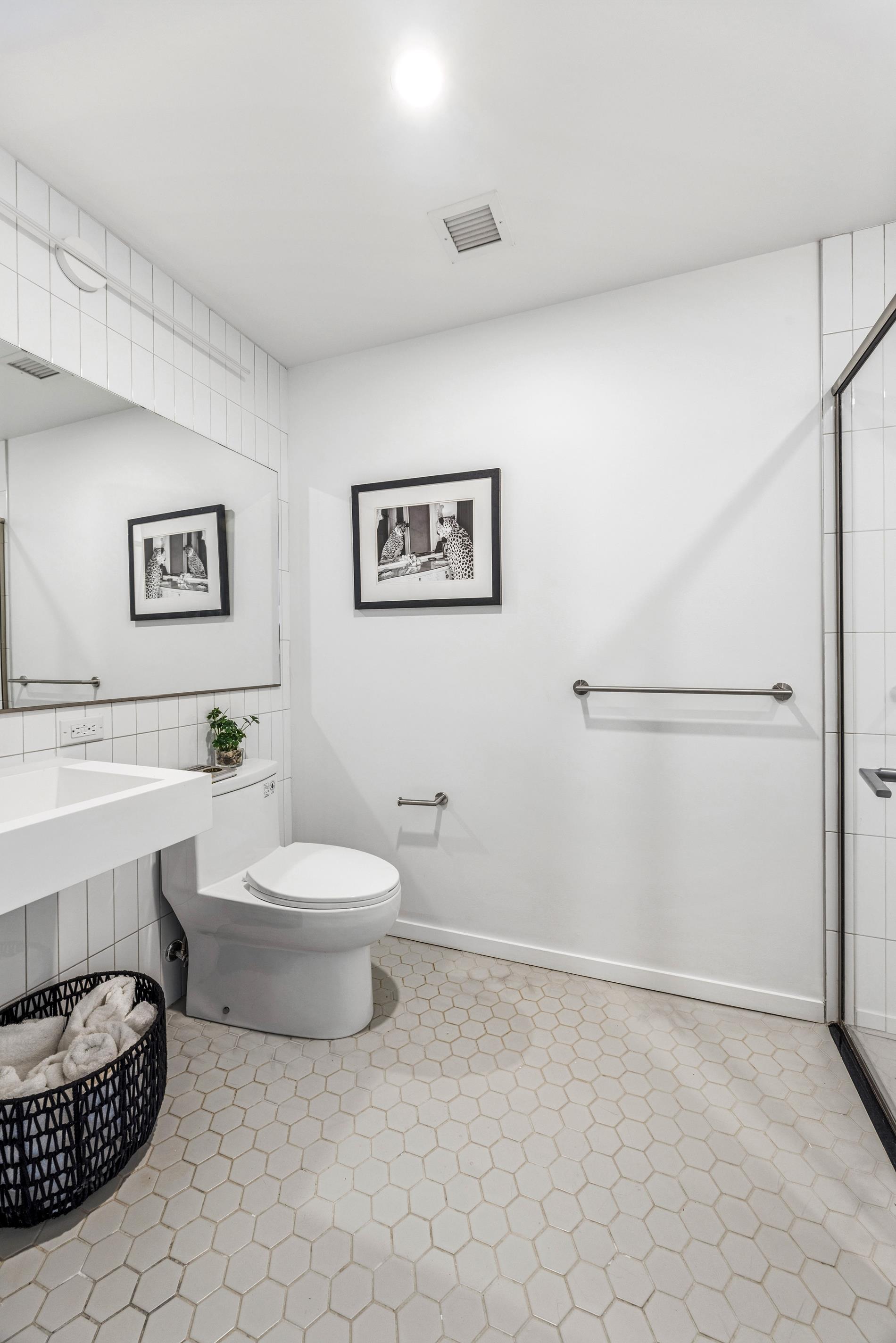 12 Halsey Street PH-116 Bedford Stuyvesant Brooklyn NY 11216