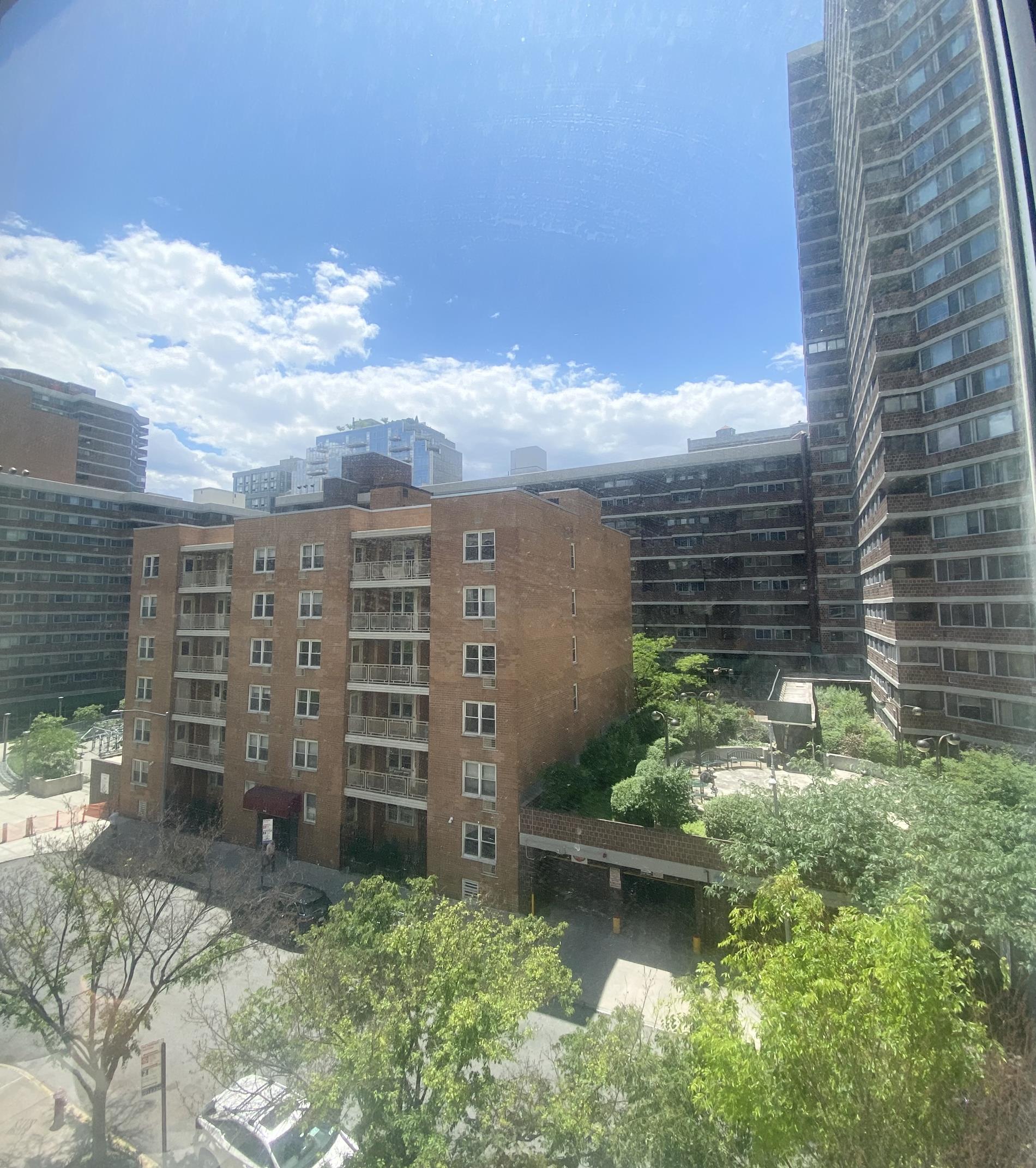 305 East 24th Street Kips Bay New York NY 10010