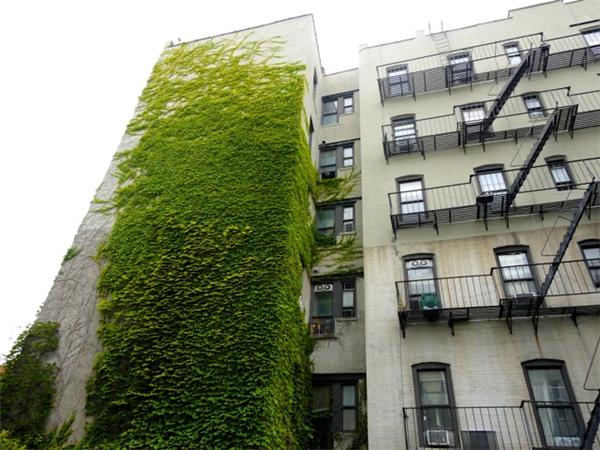 619 East 5th Street, #9