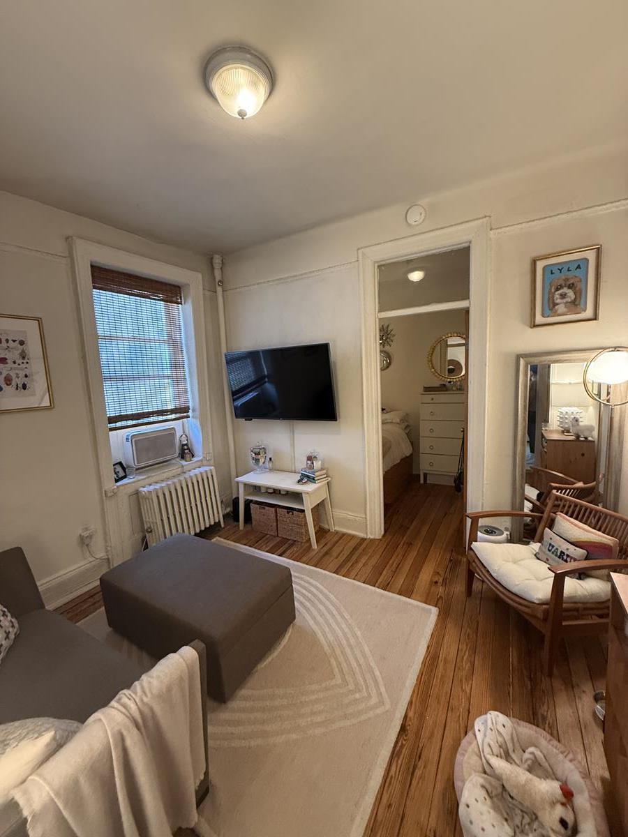 234-236 Thompson Street 25 Greenwich Village New York NY 10012