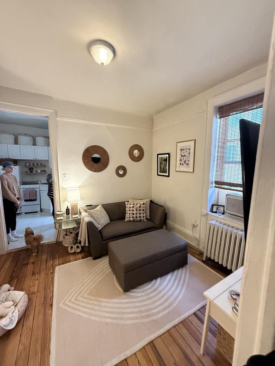 234-236 Thompson Street 25 Greenwich Village New York NY 10012