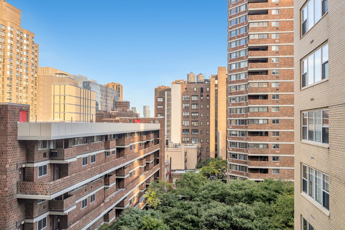 305 East 24th Street 10-L Kips Bay New York NY 10010