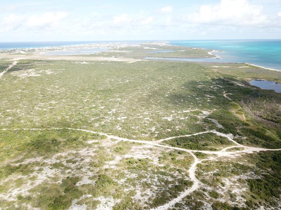 Hawks Nest Plantation Out of NYC South Suburbs Grand Turk