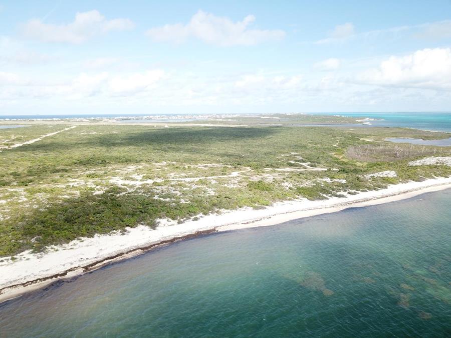 Hawks Nest Plantation Out of NYC South Suburbs Grand Turk