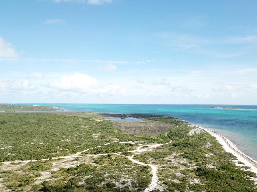 Hawks Nest Plantation Out of NYC South Suburbs Grand Turk