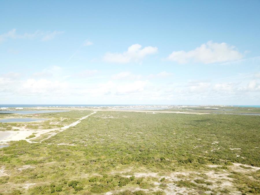 Hawks Nest Plantation Out of NYC South Suburbs Grand Turk