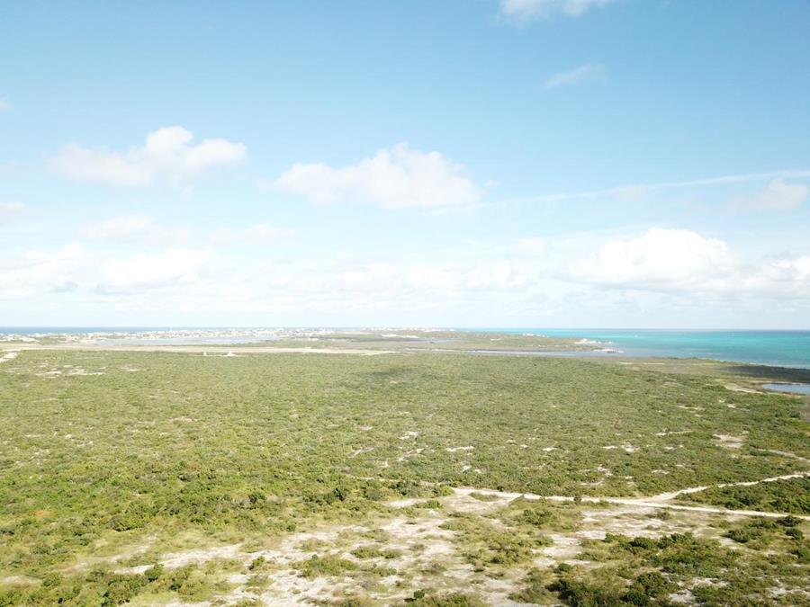 Hawks Nest Plantation Out of NYC South Suburbs Grand Turk