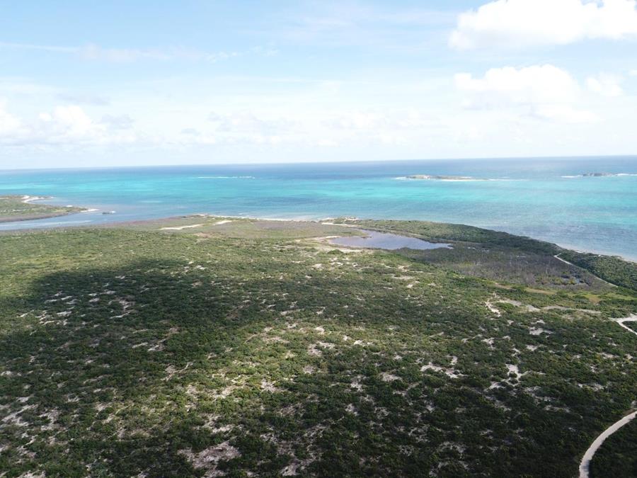 Hawks Nest Plantation Out of NYC South Suburbs Grand Turk