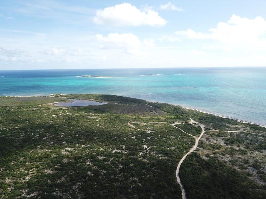 Hawks Nest Plantation Out of NYC South Suburbs Grand Turk