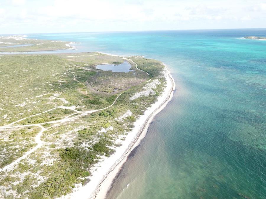 Hawks Nest Plantation Out of NYC South Suburbs Grand Turk