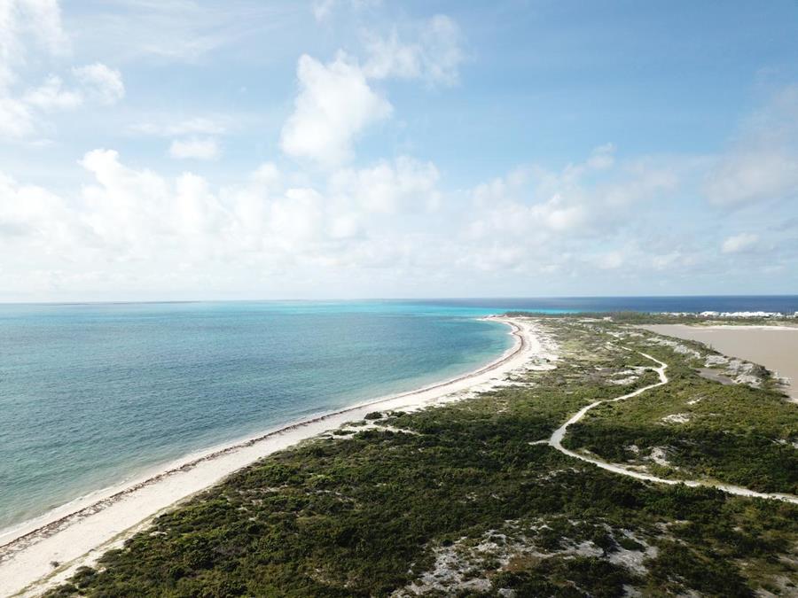 Hawks Nest Plantation Out of NYC South Suburbs Grand Turk