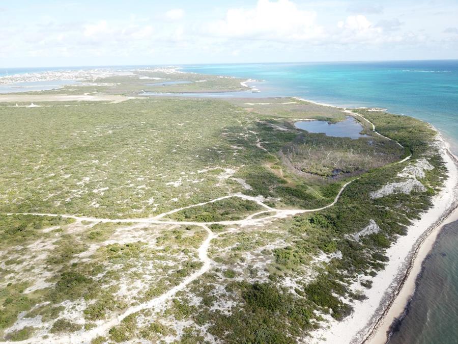 Hawks Nest Plantation Out of NYC South Suburbs Grand Turk