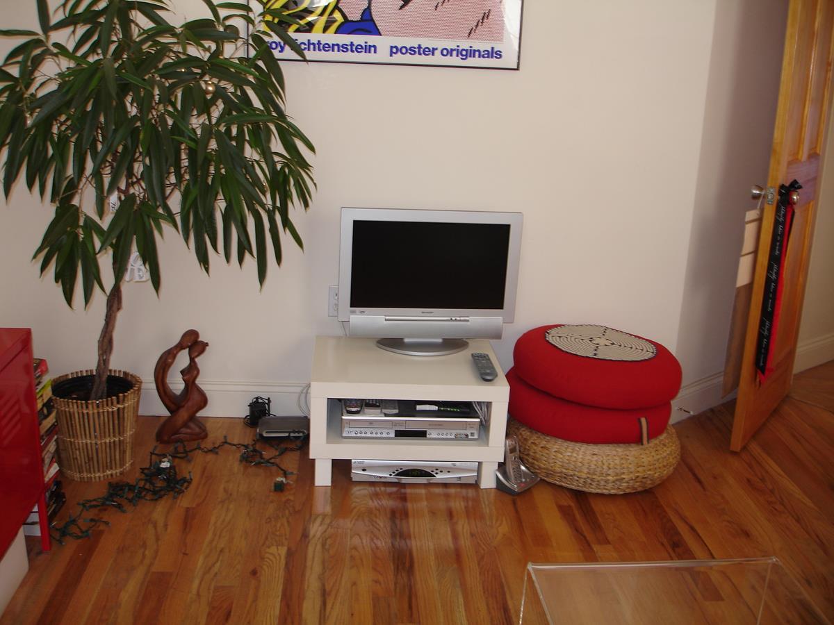 230-232 Thompson Street 22 Greenwich Village New York NY 10012