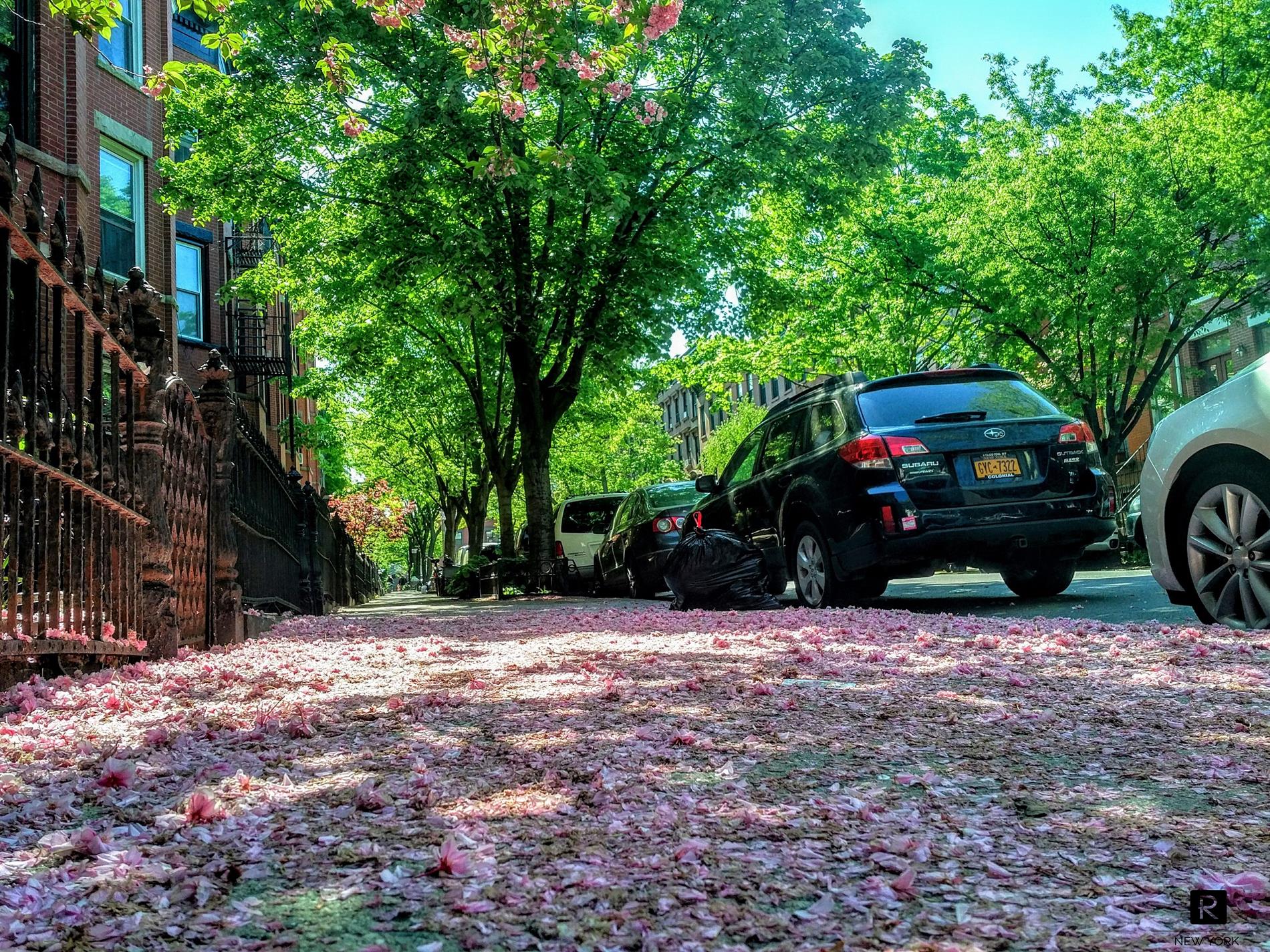 47 Saint Marks Avenue Park Slope Brooklyn NY 11217