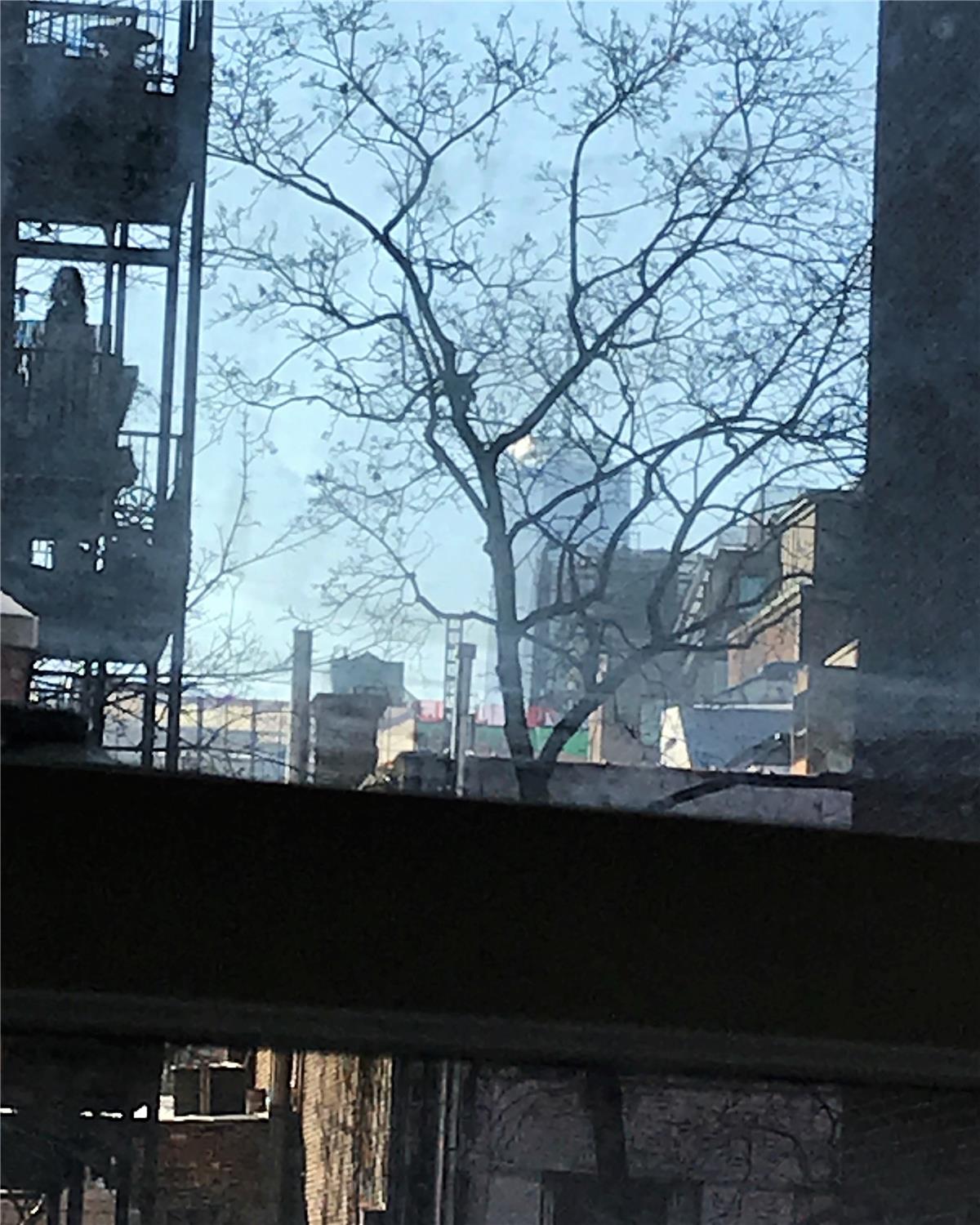 257 West 10th Street 2-E W. Greenwich Village New York NY 10011