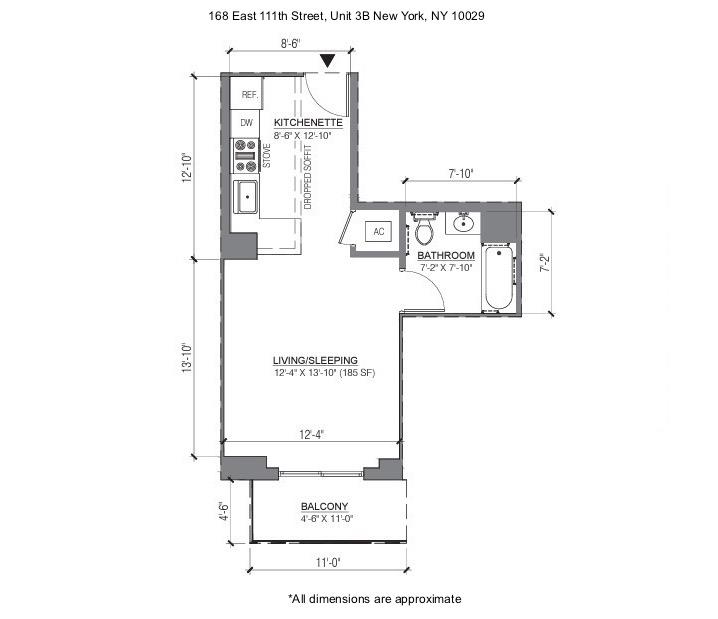 168 East 111th Street East Harlem New York NY 10029