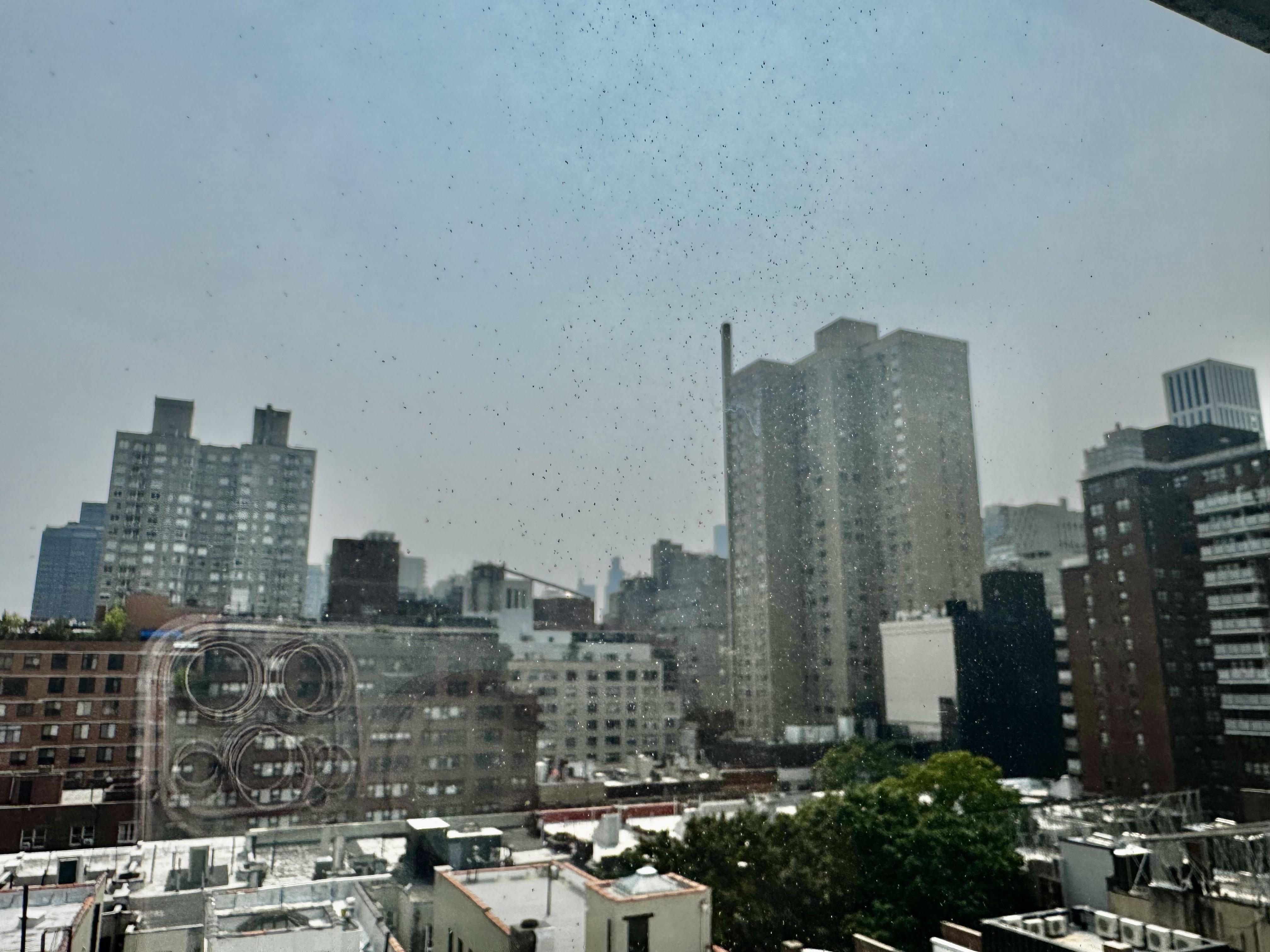 525 East 82nd Street Upper East Side New York NY 10028