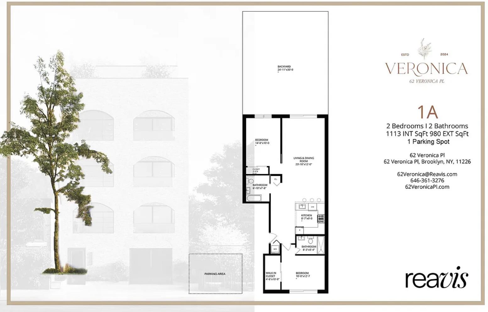 62 Veronica Place 1-A Flatbush Brooklyn NY 11226