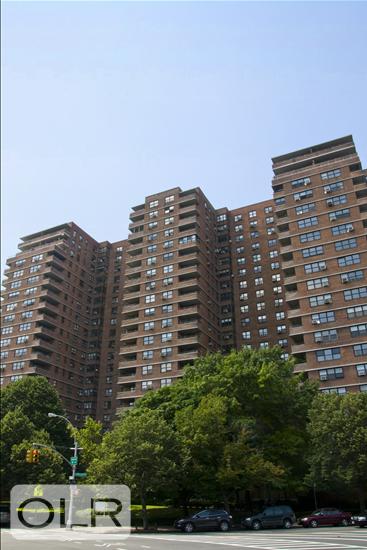 264 East Broadway C-405 Lower East Side New York NY 10002