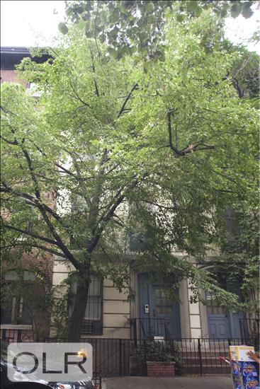 207 West 22nd Street 3 Chelsea New York NY 10011
