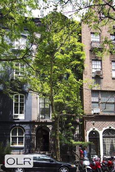 115 East 30th Street NoMad New York NY 10016